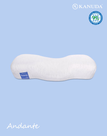 가누다 블루라벨 안단테(Soft) 기능성 경추 베개