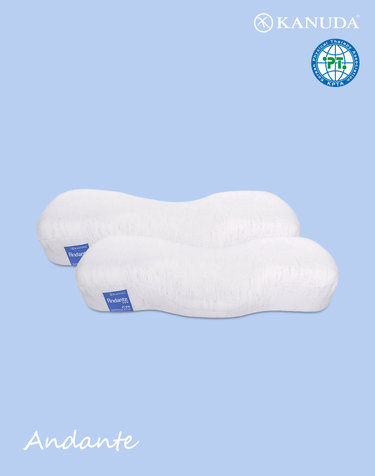 가누다 블루라벨 안단테(Soft) 기능성 경추 베개 2개세트