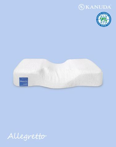 가누다 블루라벨 알레그레토(Soft) S M 기능성 경추 베개