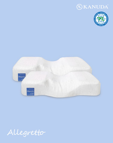 가누다 블루라벨 알레그레토(Soft) S M 기능성 경추 베개 2개세트