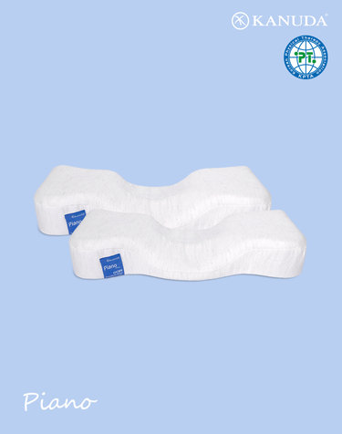 가누다 블루라벨 피아노(Soft) 기능성 경추 베개 2개세트