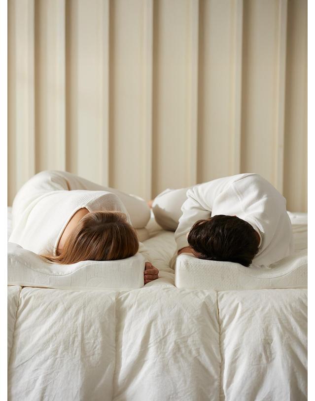 가누다 가누다 블루라벨 안단테(Soft) 기능성 경추 베개 더블세트(베개2+머리냅1) 착용컷