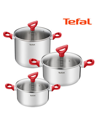 [테팔] 에디션 레드 인덕션냄비 양수20cm+양수24cm+곰솥22cm