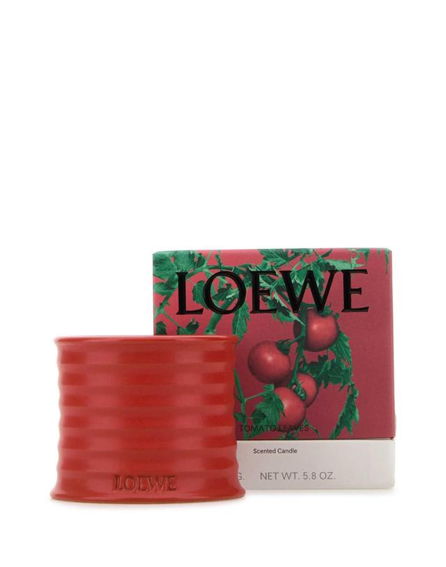 로에베 [해외직구] 로에베 로에베 TOMATO 리브 캔들 LW67737 000 B0441652197 착용컷