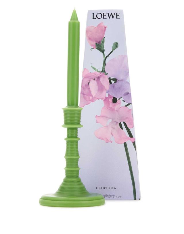 로에베 [해외직구] 로에베 CHANDELIER LUSCIOUS 피어스 LW67966 LUSCIOUS PEA B0441595088 착용컷