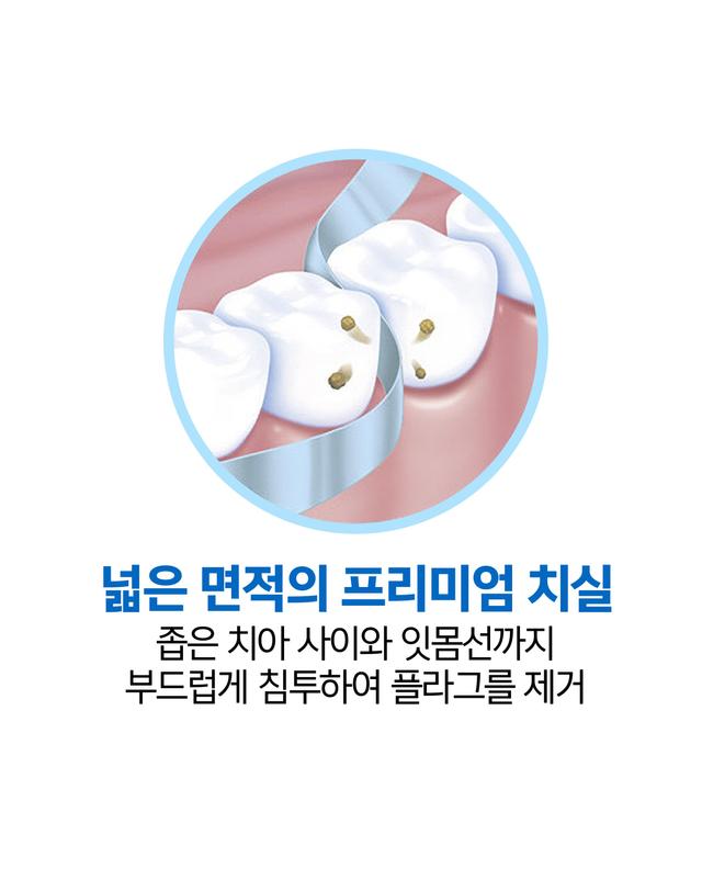 오랄비 오랄비 치실 C자형 30개입 3개 착용컷