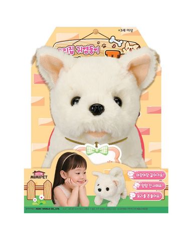 [보리보리] 우리집 귀염둥이 아기강아지 포메