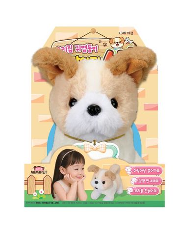 [보리보리] 우리집 귀염둥이 아기강아지 시츄