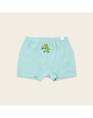 [보리보리]  민트지남아드로즈MLFUDW05