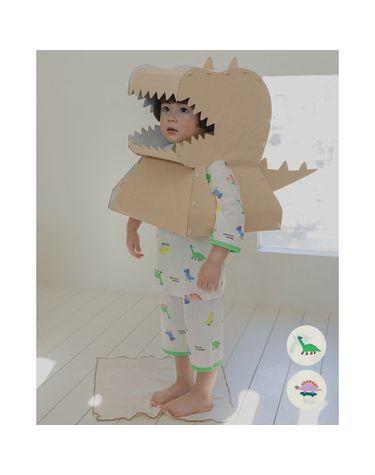 [보리보리] 플레이디노26SS