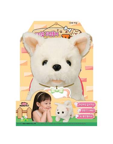 [보리보리] 우리집 귀염둥이 아기강아지 포메