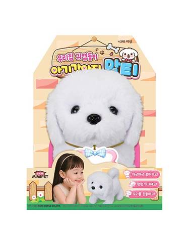 [보리보리] 우리집 귀염둥이 아기강아지 말티