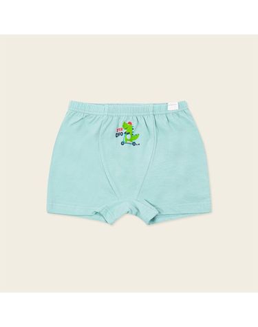 [보리보리] 민트지남아드로즈 MLFUDW05