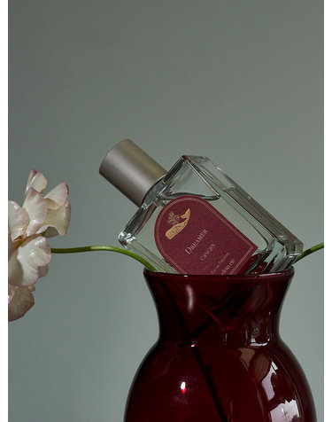 도시여행향수 강진 드리머 EDT 50ml