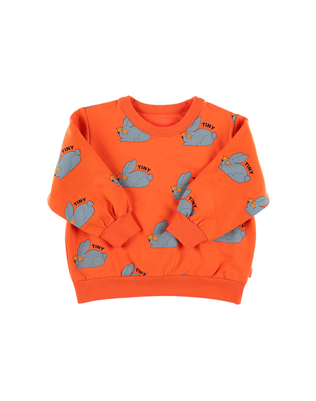 타이니코튼 타이니코튼 AW24-059 J08 (Rabbits Sweatshirt) 래빗 아동 맨투맨 착용컷