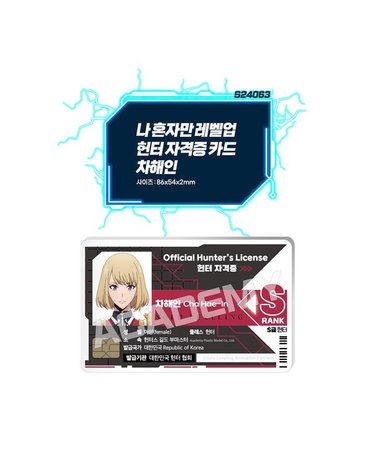 [보리보리] T 나혼렙 헌터 자격증 차해인