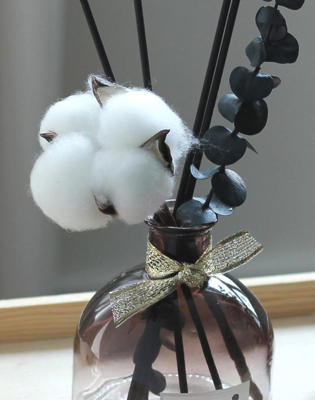 라라포푸리 목화 코튼 인테리어 디퓨저 100ml 착용컷