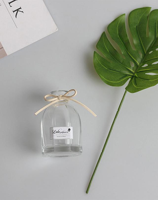 라라포푸리 라라포푸리 몬스테라 보타닉 디퓨저 100ml 착용컷