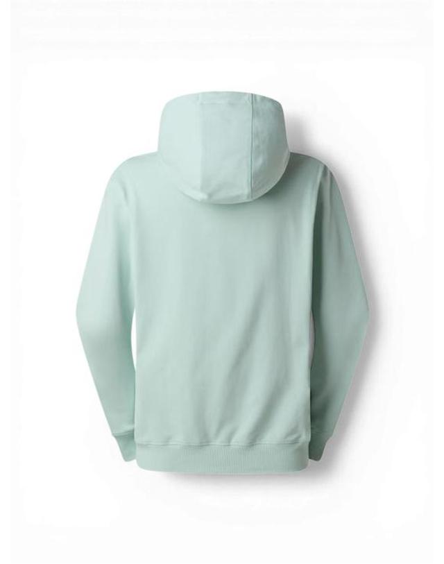 노스페이스 [해외직구] 26SS 노스페이스 후드 티셔츠 NF0A8GQD0U31 Green 착용컷