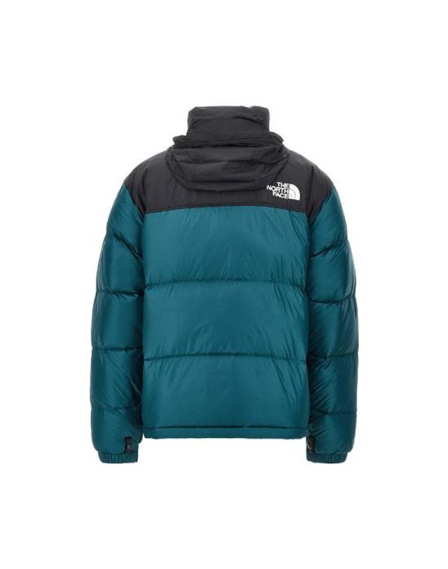 노스페이스 [해외직구] 26FW 노스페이스 1996 RETRO 레트로 눕시 자켓 NF0A3C8D Green 착용컷