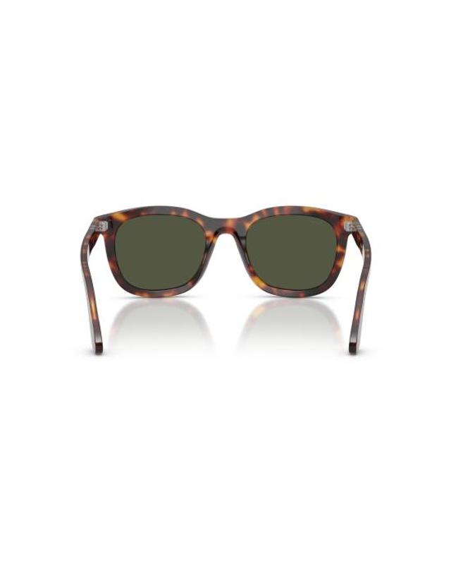 페르솔 [해외직구] 26FW 페르솔 선글라스 0PO3395S BROWN 착용컷