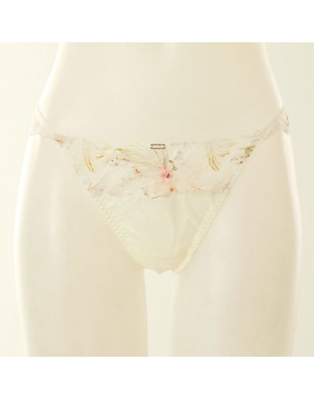 비너스 VENUS [갤러리아] 이월상품 25SS 광고메인 샤인블라썸 티팬티 4종택1 VPT0995T 착용컷