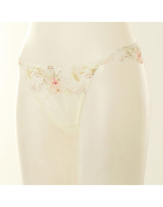 비너스 VENUS [갤러리아] 이월상품 25SS 광고메인 샤인블라썸 티팬티 4종택1 VPT0995T 착용컷