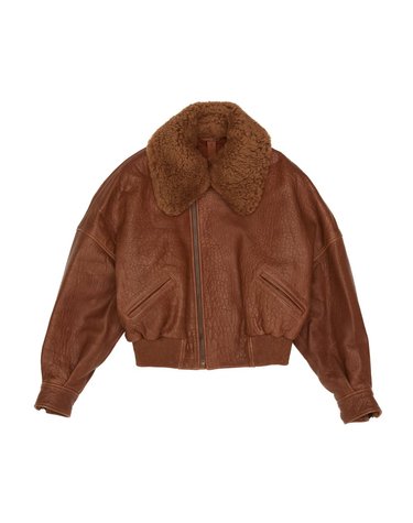 [해외직구] 26 F/W 페타르 페트로브 봄버 인 펠레 MARRONE PPFW26JL01802/2101 B0742293935