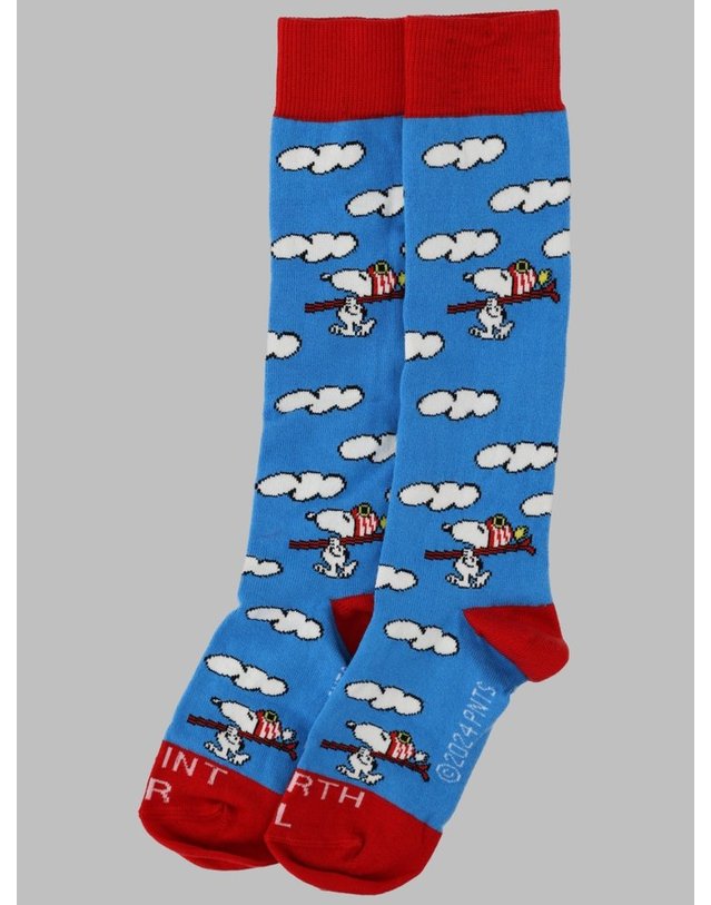 엠씨투 세인트바스 [해외직구] 24 F/W SOX JR PEANUTS 스키 17 (KIDS 상품) SOX0002K_00353G17 B0042176172 착용컷