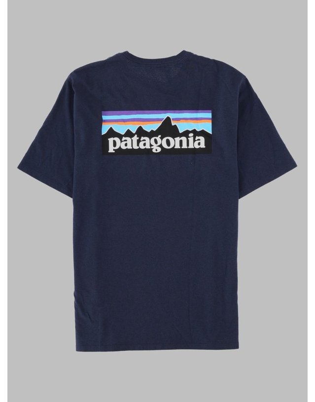 파타고니아 [해외직구] 26 F/W 파타고니아 SHORTSLEEVEDTSHIRTS 38504_NENA B0042281905 착용컷