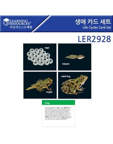 러닝리소스 생애 카드 세트 LER2928[WFGF4TM]