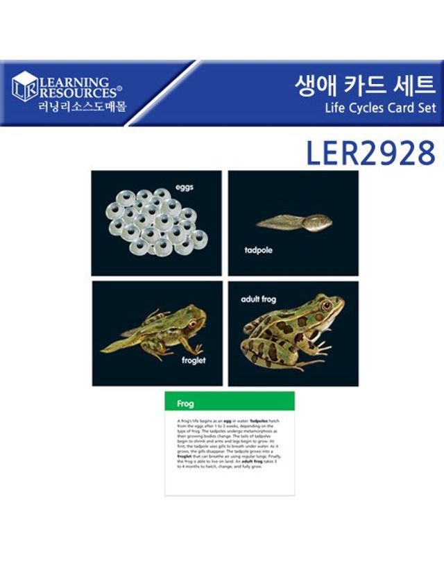 오너클랜 러닝리소스 생애 카드 세트 LER2928[WFGF4TM] 착용컷