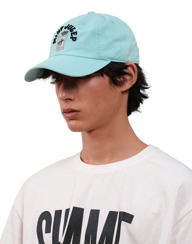 아메리칸니들 [아메리칸니들] BALLPARK CAP COCKTAIL MINT JULEP 착용컷
