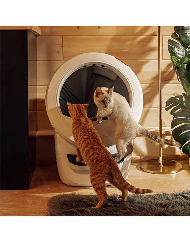 리터로봇 [S] [리터로봇] 리터로봇 4 고양이 자동 화장실 (화이트) 착용컷