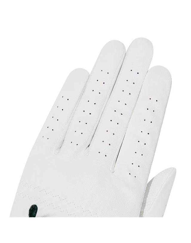 말본골프 [밀라코/국내발송] 말본 왼손 2PACK 장갑 WHITE M6143PGL08WHT 착용컷