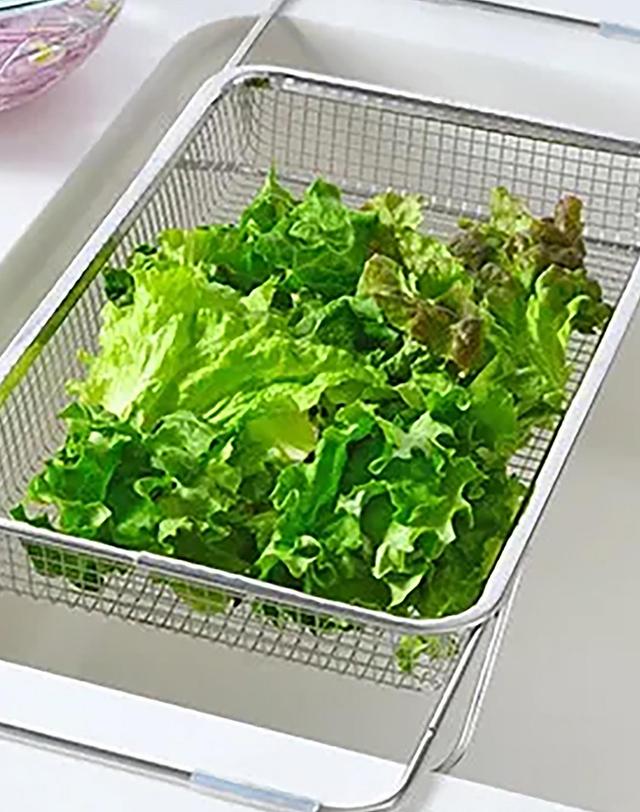 옥스 옥스 레이에 컴팩트 드라잉 바스켓 (싱크대용) 착용컷