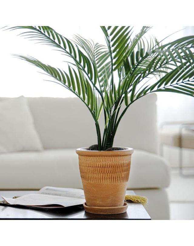 그로우플랜터 [Grow Planter] 델리카 테라코타 화분 빈티지 토분 브라운 착용컷