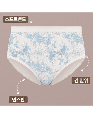 [보리보리] 90-110 여성빅사이즈 소프트밴드 무드여성맥시팬티 5매 순면스판