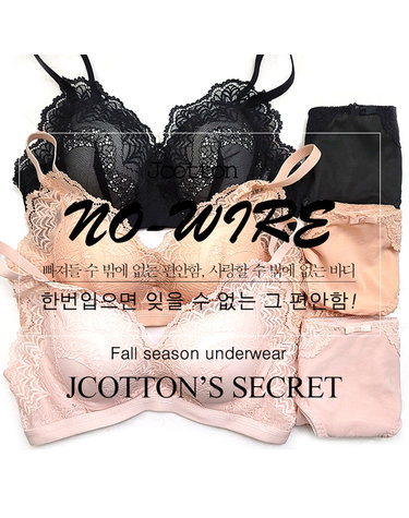 [보리보리] A B컵으로 노와이어브라 뽕브라 여성 팬티 여성 속옷 6종