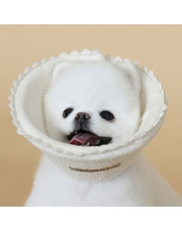 강아지 오가닉 넥카라 1P 고양이 행동교정 수술카라