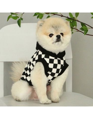 강아지 체스 데일리 후드티 블랙 1P 반려견 티셔츠