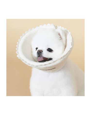 초코펫하우스 오가닉 넥카라 선택 목커버 피부관리