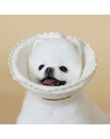 도그포즈 오가닉 넥카라S