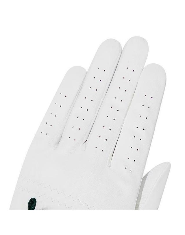 말본골프 [명품] 말본 왼손 2PACK 장갑 WHITE M6143PGL08WHT 밝은 블루 착용컷