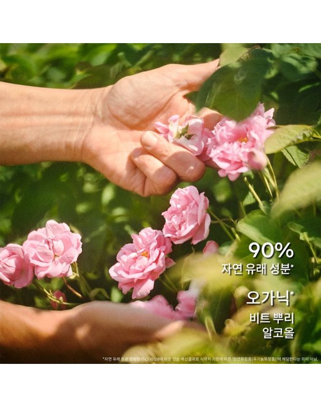 겔랑 [갤러리아] [겔랑]라 쁘띠 로브 느와르 오 드 뚜왈렛 30ml 착용컷