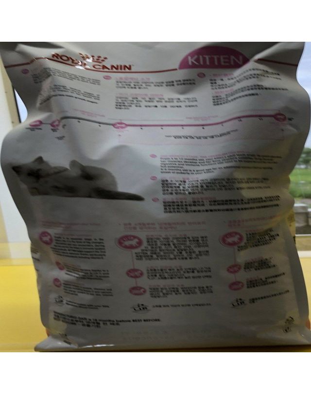 로얄캐닌 로얄캐닌 키튼 캣 고양이 반려묘 사료 2kg 착용컷