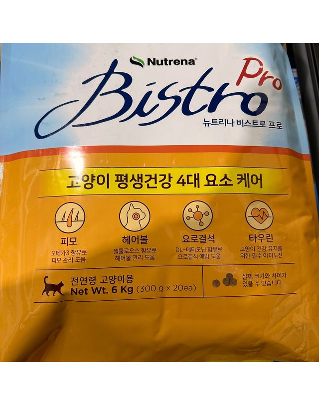 뉴트리나 뉴트리나 비스트로 Pro 고양이 사료 6kg 300gx20봉 착용컷