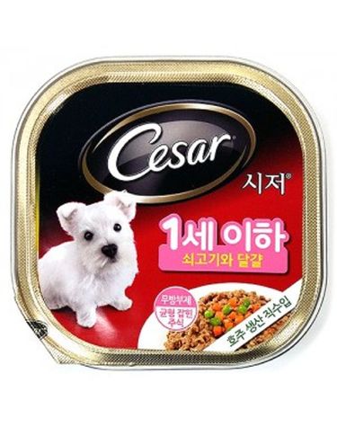 시저 1세이하 퍼피 쇠고기와 달걀 강아지캔 간식