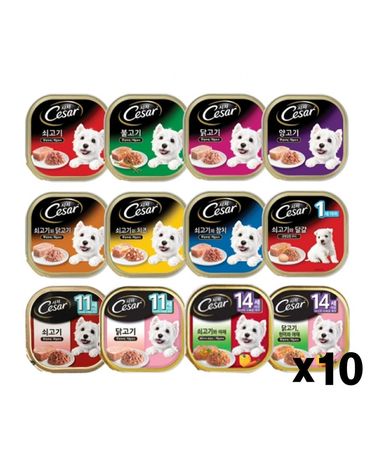 시저캔 100g X10개 애견 통조림간식 습식 주식캔 영양