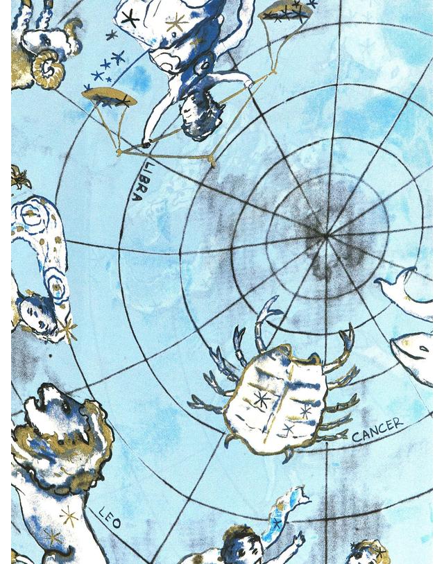 다이앤 본 퍼스텐버그 [해외직구][다이앤본퍼스텐버그]Zodiac Flag 스카프 F001AWATERSKTLWATER 7538677 착용컷